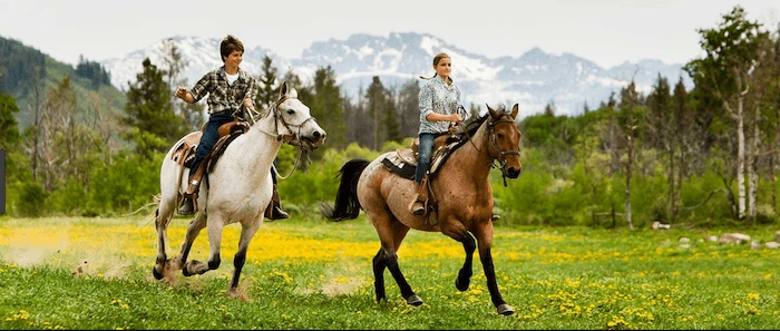 Confident plus-size woman riding Highworth a horse through a field with a smile on her face.